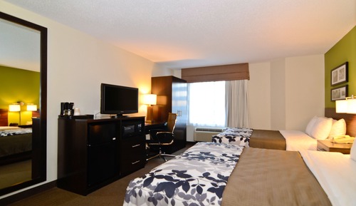 Habitación estándar, 2 camas de matrimonio, no fumadores