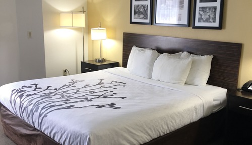 Habitación estándar, 1 cama de matrimonio grande, no fumadores