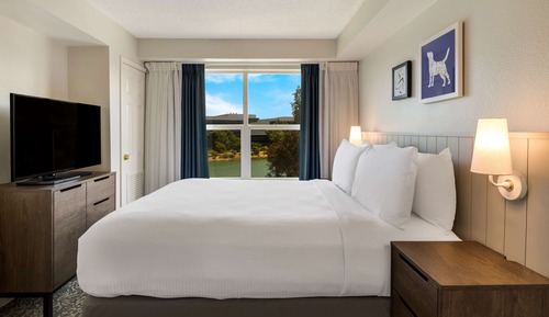 Suite, 1 cama de matrimonio con sofá cama