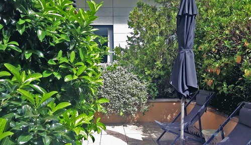 Habitación Deluxe doble, terraza