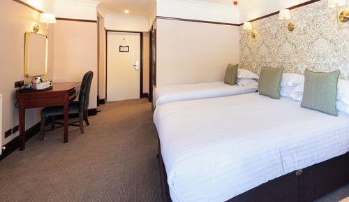 Family Three Dog Friendly