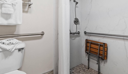 Suite, 1 cama de matrimonio grande con sofá cama, accesible para personas con discapacidad