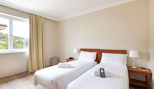 Habitación estándar con 2 camas individuales, no fumadores