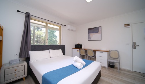 Habitación superior (Pet Friendly Queen Bunk)