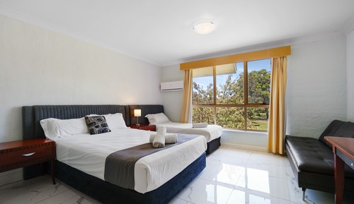 Habitación estándar (Pet Friendly Queen Single)