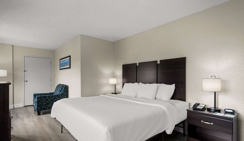 Habitación, 1 cama de matrimonio grande, accesible para personas con discapacidad (Roll-In Shower)