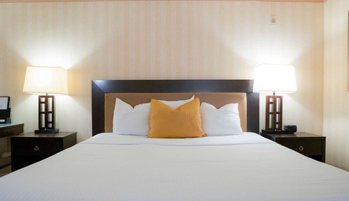 Habitación estándar, 1 cama de matrimonio grande, fumadores, frigorífico y microondas