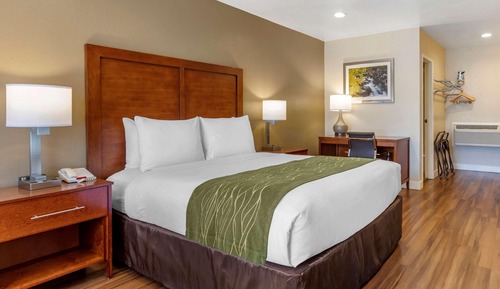 Habitación estándar, 1 cama de matrimonio, no fumadores