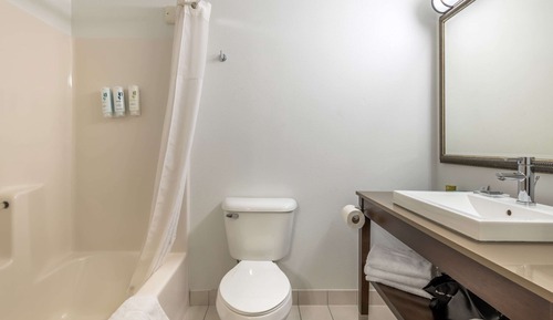 Suite, 1 habitación, no fumadores