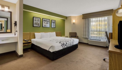 Habitación estándar, 1 cama de matrimonio grande, no fumadores