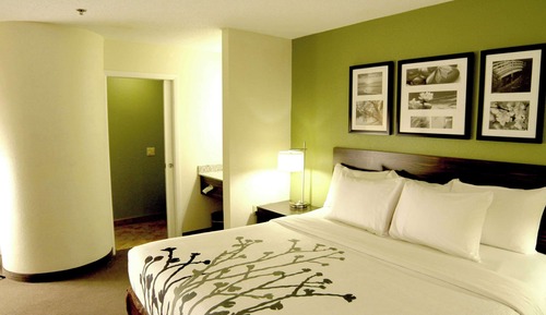 Habitación estándar, 1 cama de matrimonio grande, no fumadores