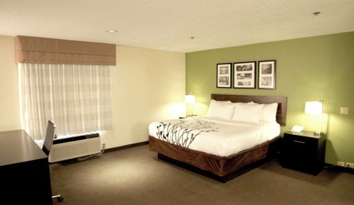 Habitación, 1 cama de matrimonio, accesible para personas con discapacidad, no fumadores