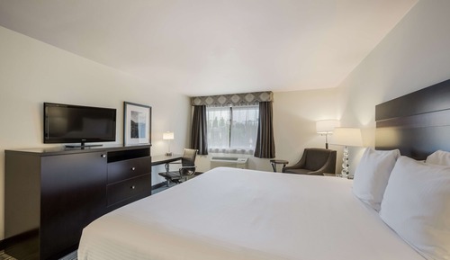 Habitación estándar, 1 cama de matrimonio grande, accesible para personas con discapacidad