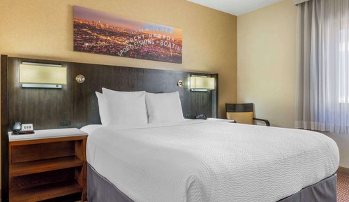 Habitación estándar, 1 cama de matrimonio, no fumadores, frigorífico y microondas (Pet Friendly)