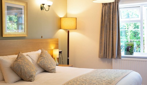 Habitación doble (Large)