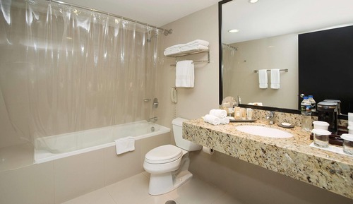Habitación Premium, 2 camas dobles, no fumadores