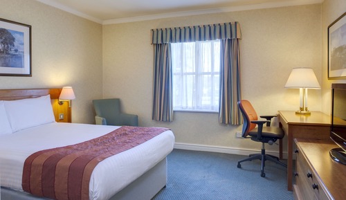 Habitación estándar, 1 cama doble con sofá cama