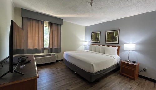 Habitación, 1 cama de matrimonio grande, no fumadores