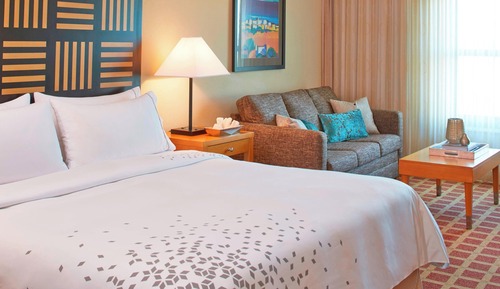 Pure, Habitación ejecutiva, 1 cama de matrimonio grande con sofá cama