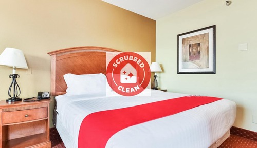 Suite, 1 habitación