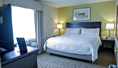 Habitación estándar, 1 cama de matrimonio grande