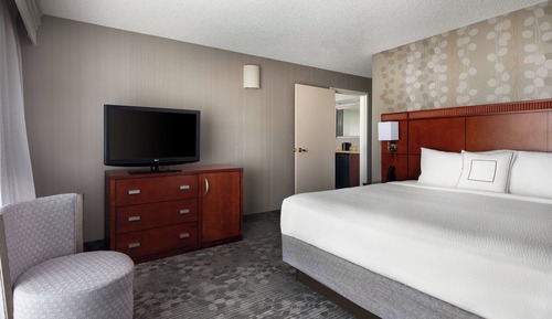 Suite, 1 cama de matrimonio grande con sofá cama