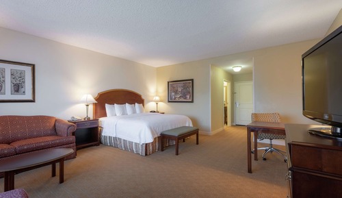 Suite, 1 cama de matrimonio grande, no fumadores