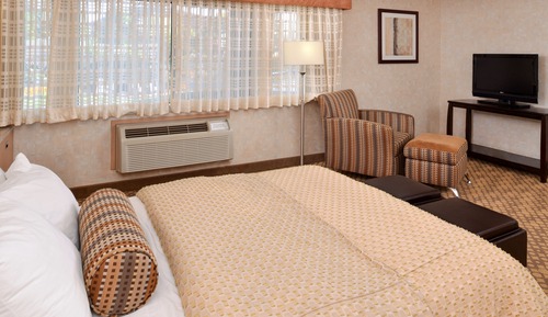 Habitación estándar, 1 cama de matrimonio, no fumadores, frigorífico (Queen Murphy Bed Only)