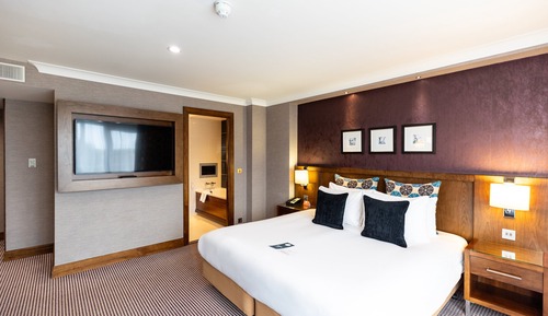 Habitación Premium, 1 cama de matrimonio grande, acceso al Business Lounge