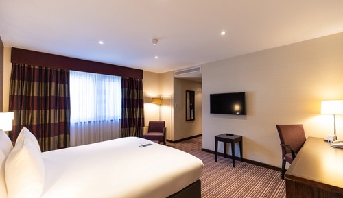 Habitación Premium, 1 cama de matrimonio