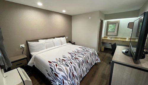 Habitación estándar, 1 cama de matrimonio grande, fumadores (Renovated)