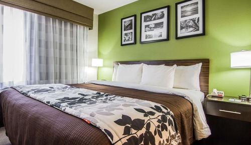 Habitación estándar, 1 cama de matrimonio grande, no fumadores (Roll-In shower)