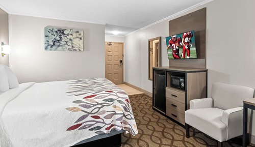 Habitación superior, 1 cama de matrimonio grande, fumadores