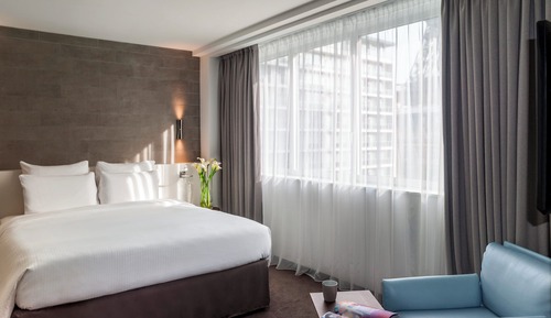 Suite junior, 1 cama de matrimonio grande con sofá cama