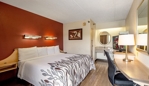 Habitación estándar, 1 cama de matrimonio grande (Smoke Free)