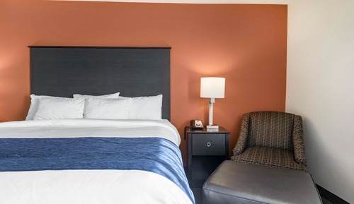 Habitación estándar, 1 cama de matrimonio grande, no fumadores