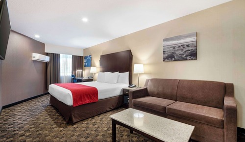 Habitación estándar, 1 cama de matrimonio grande con sofá cama, no fumadores (with Sofabed)