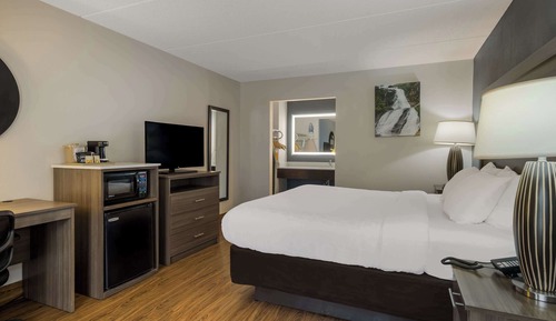 Habitación estándar, 1 cama de matrimonio grande, no fumadores