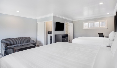 Family Studio Suite, Multiple Beds (sofabed not included)