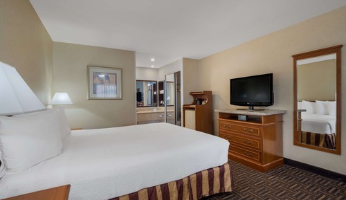 Habitación estándar, 1 cama de matrimonio grande, no fumadores, frigorífico