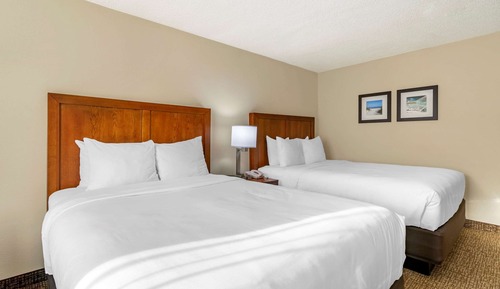 Suite Deluxe, varias camas, no fumadores