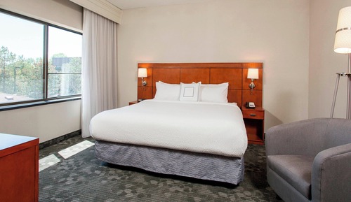 Suite, 1 habitación