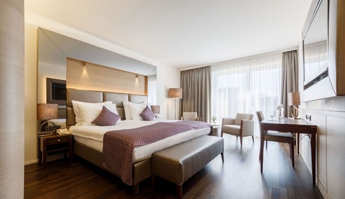 Habitación Deluxe, vistas al jardín