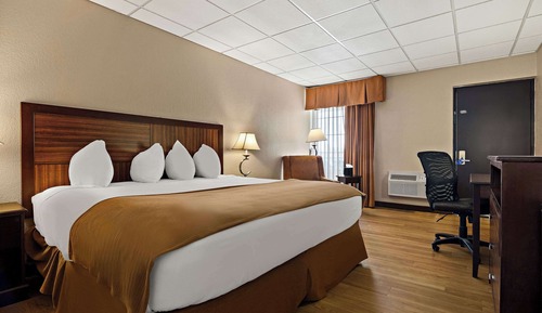 Habitación estándar, 1 cama de matrimonio grande, no fumadores