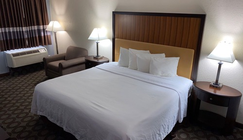 Habitación estándar, 1 cama de matrimonio grande, no fumadores
