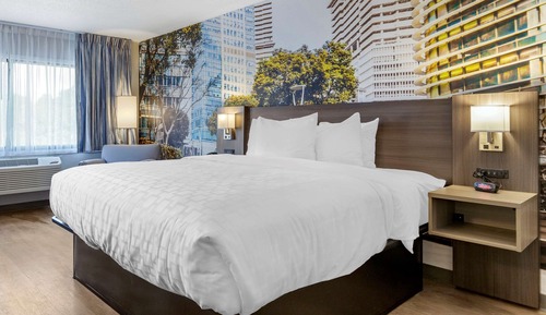 Habitación estándar, 1 cama de matrimonio grande, no fumadores