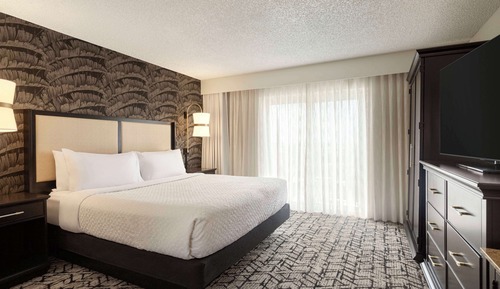 Suite, 1 cama de matrimonio grande