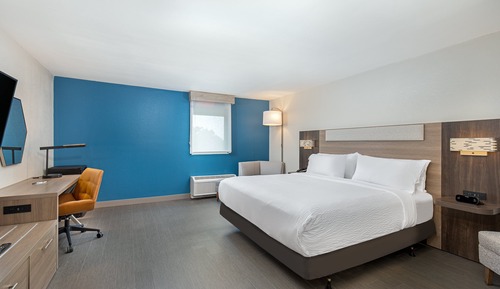 Habitación estándar, 1 cama de matrimonio grande