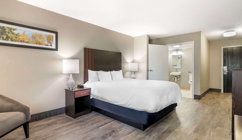 Habitación estándar, 1 cama de matrimonio grande, no fumadores (Pet-Friendly)