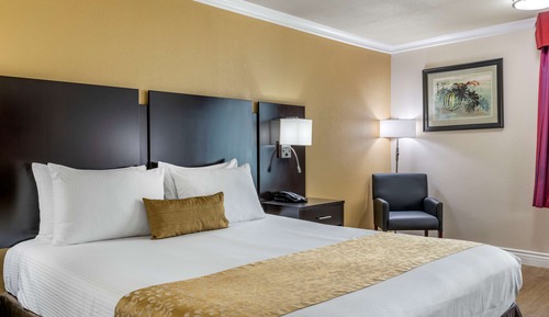 Habitación estándar, 1 cama de matrimonio grande, no fumadores, frigorífico